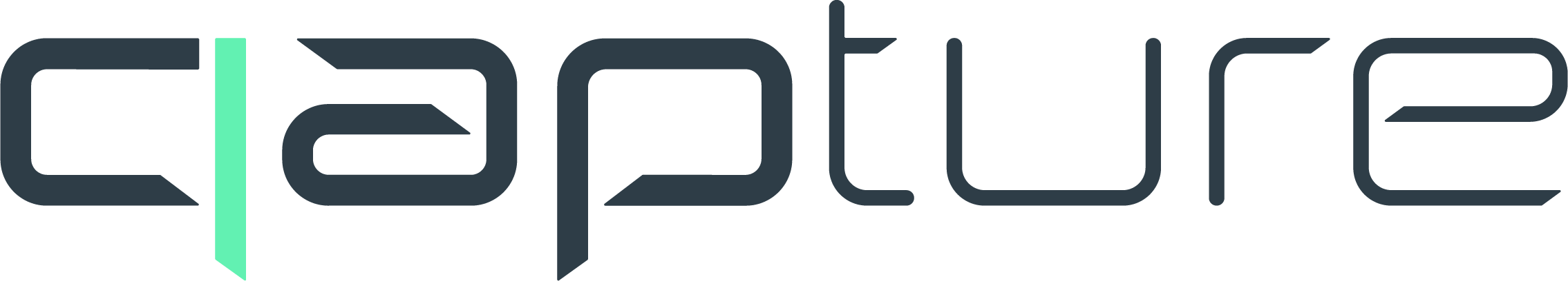 Qapture Logo Qapture Logo